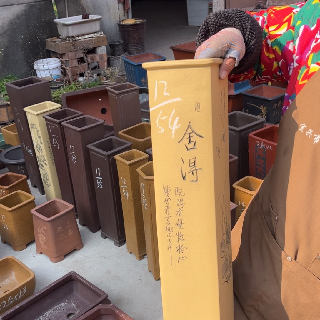 紫砂花盆盆景艺术