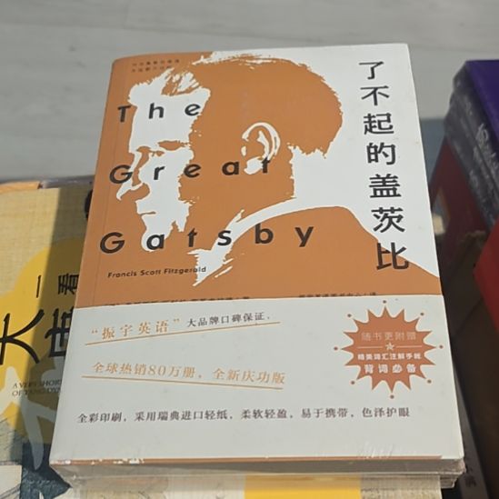 了不起的盖茨比两本一套库存书