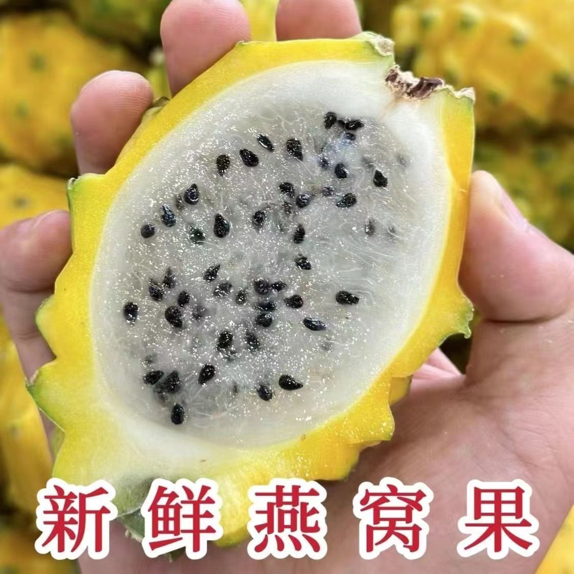 海南燕窝果新鲜现摘水果麒麟果鲜甜多汁黄火龙果当季礼盒装顺丰邮