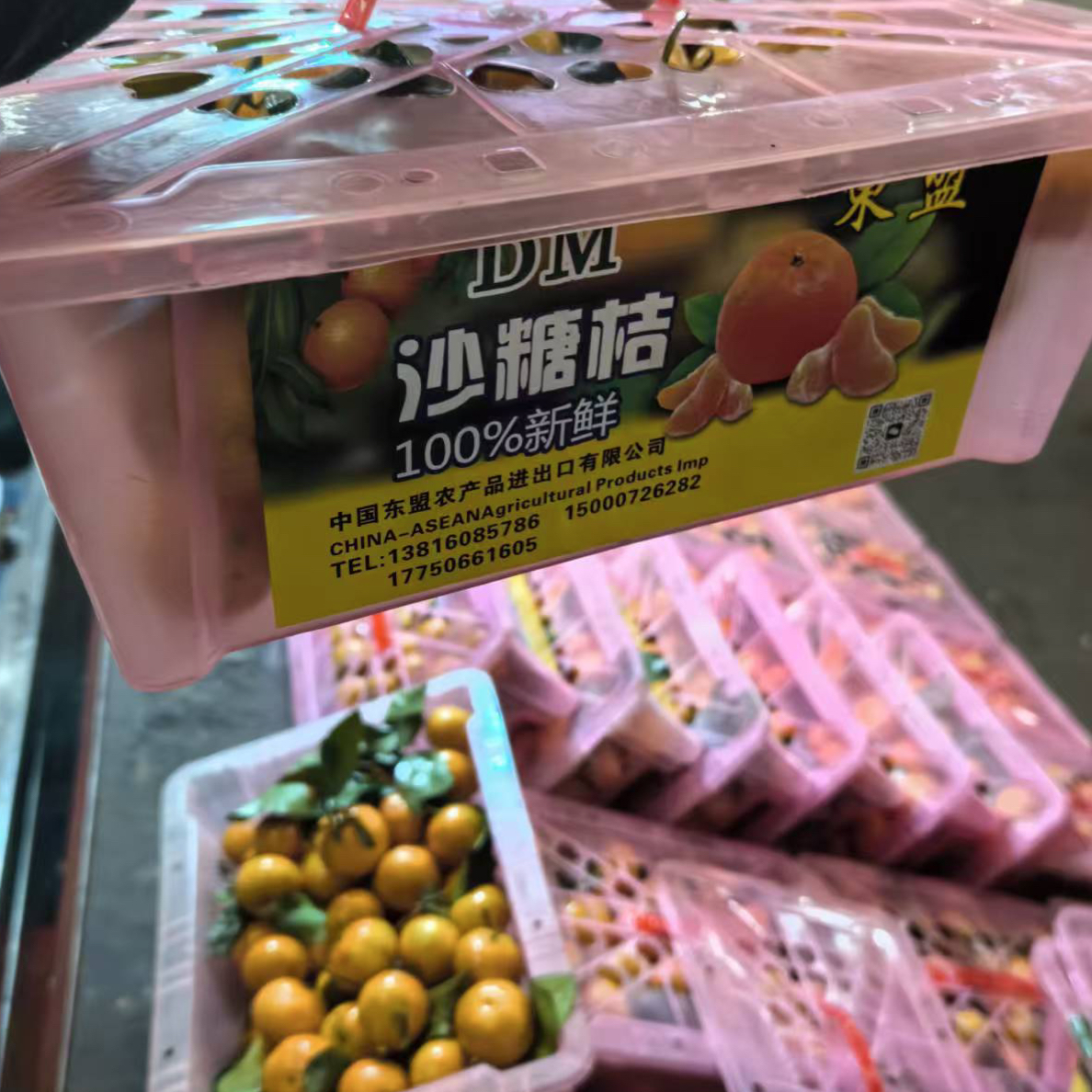 【富贵专属顺丰次日达】东盟砂糖橘水果2.5公斤包邮到家广西壮族自治区