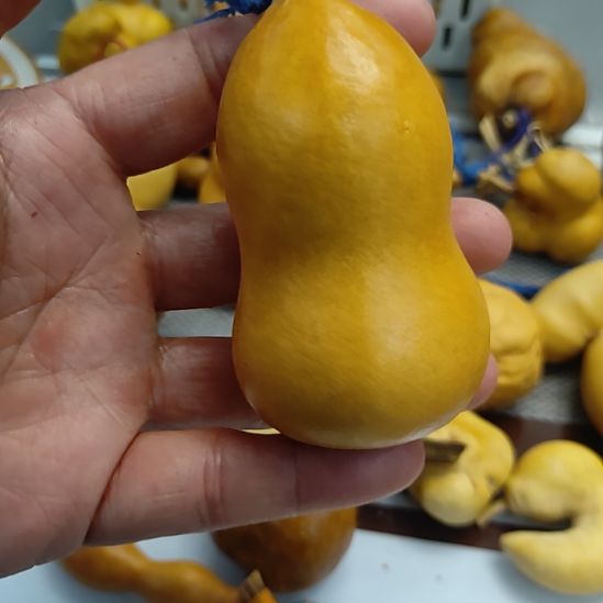 詠***回来哈哈哈哈哈哈哈哈哈