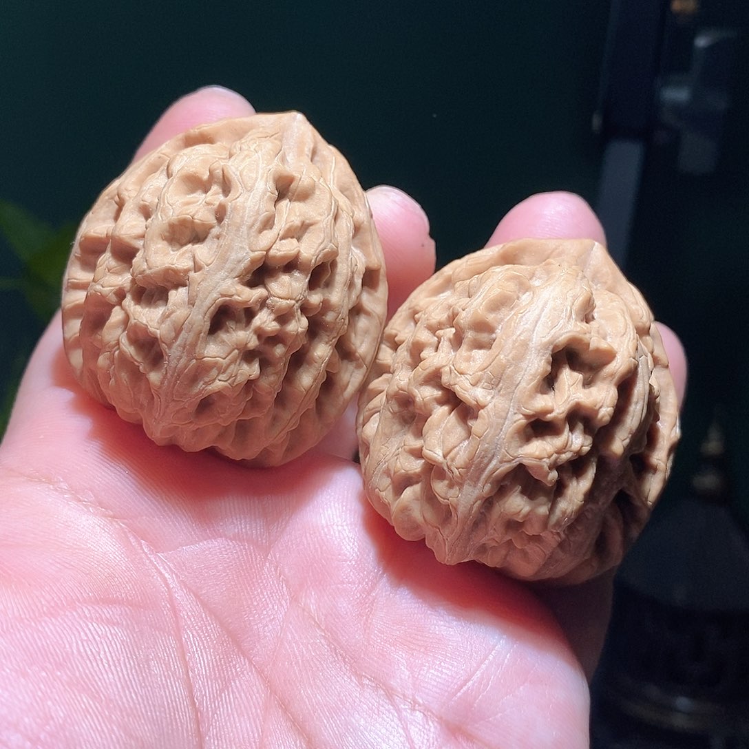把件文玩核桃42红锦鲤全品