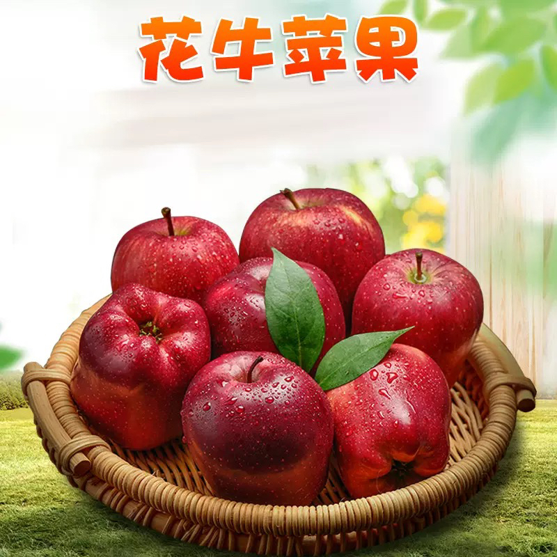 甘肃花牛苹果新鲜水果现摘当季应季适合老人辅食
