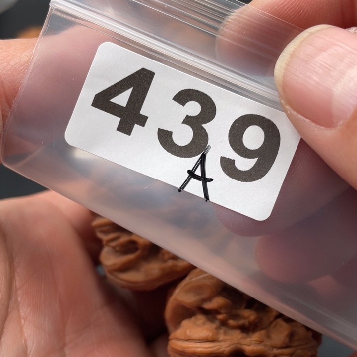 文玩核桃吊坠战*?篓子45