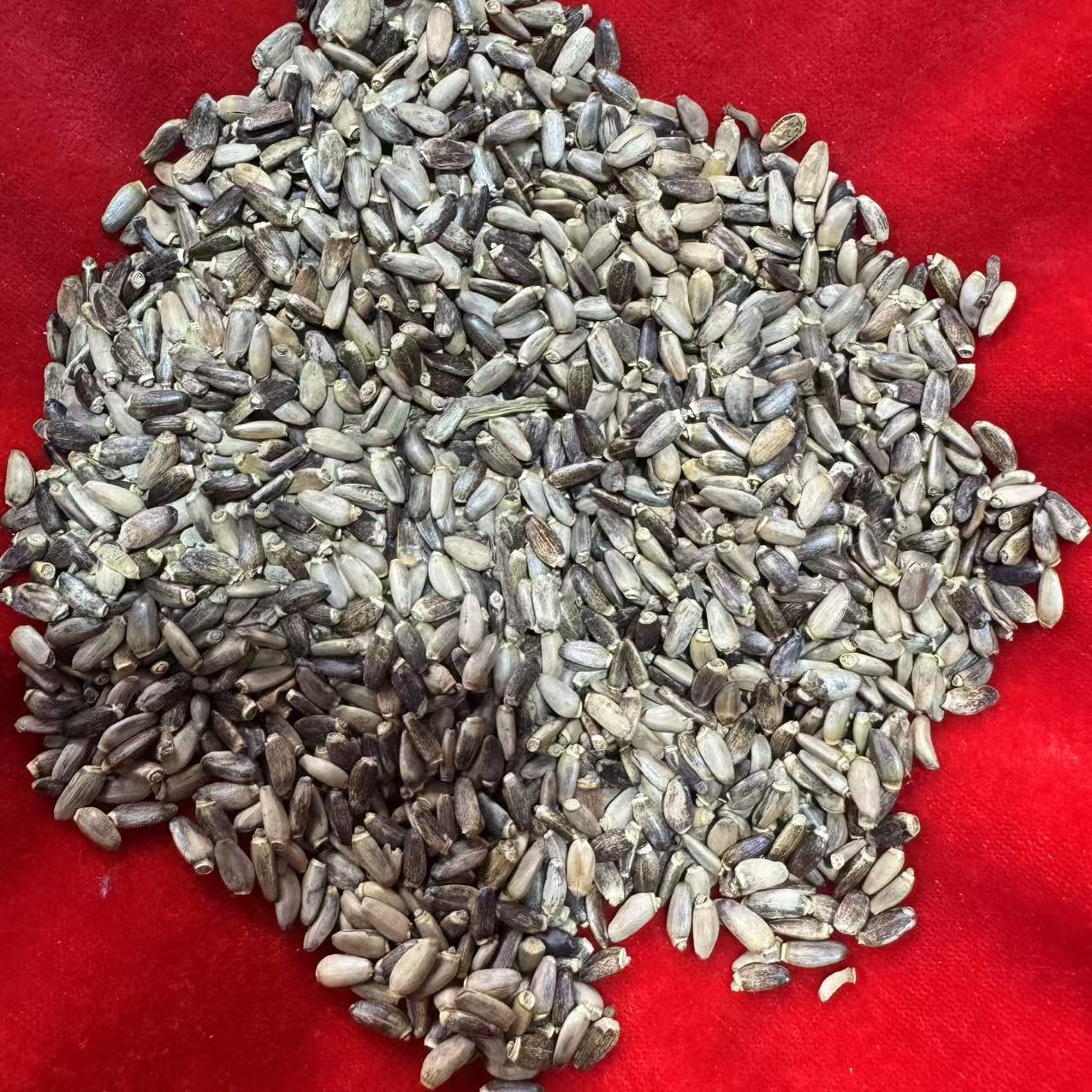 2【水-飞-蓟】净含量：500g-1000g【小英现收】