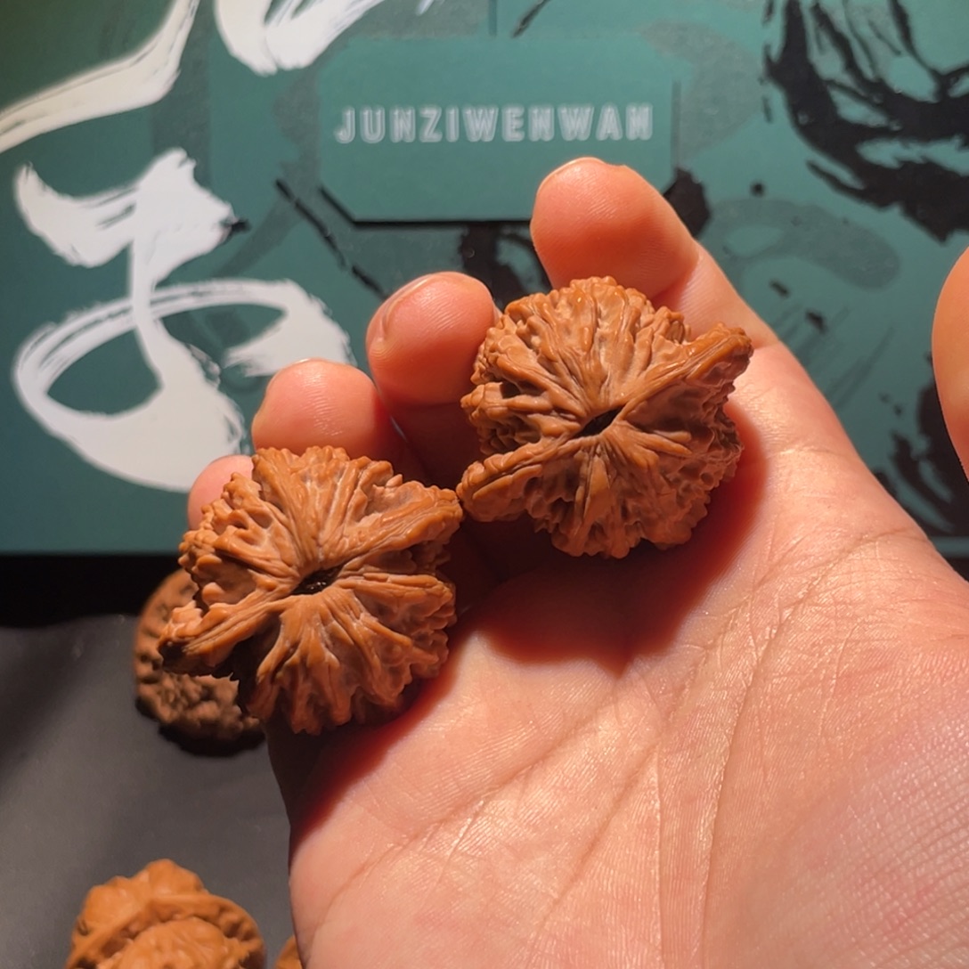 一***式吊坠文玩核桃41房山虎头君子级