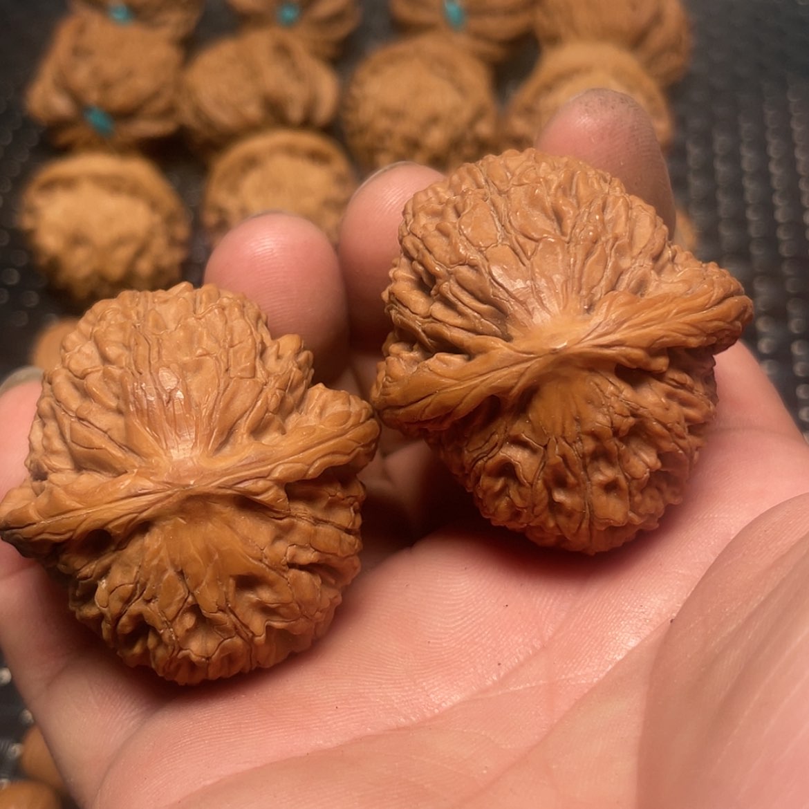 【闪购商品】文玩核桃把件41水龙纹