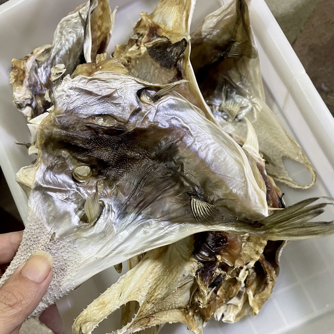 惠来神泉港口海鲜青乖補8-10个鱼補