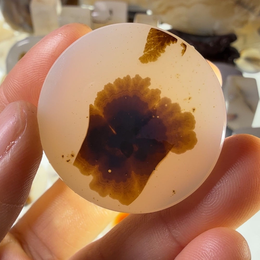 玛瑙/玉髓未镶嵌珠宝半成品