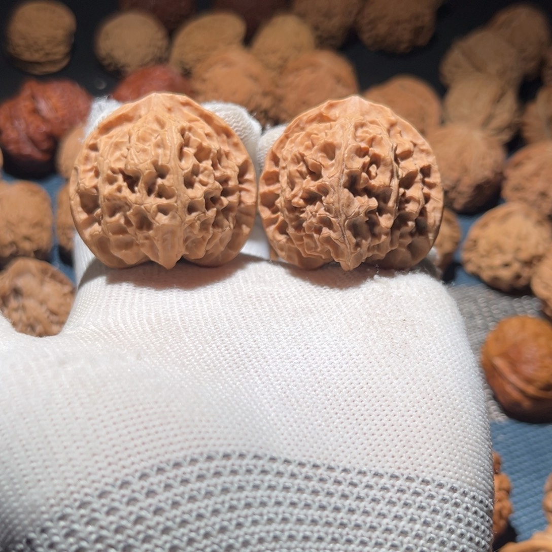 核桃40全品桃心桩苹果园