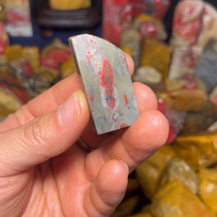 谢***安昌化石国石昌化石