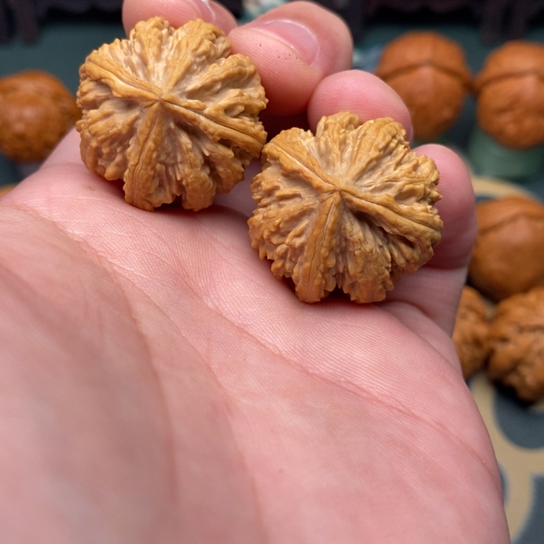 文玩核桃把件霸王龙三棱