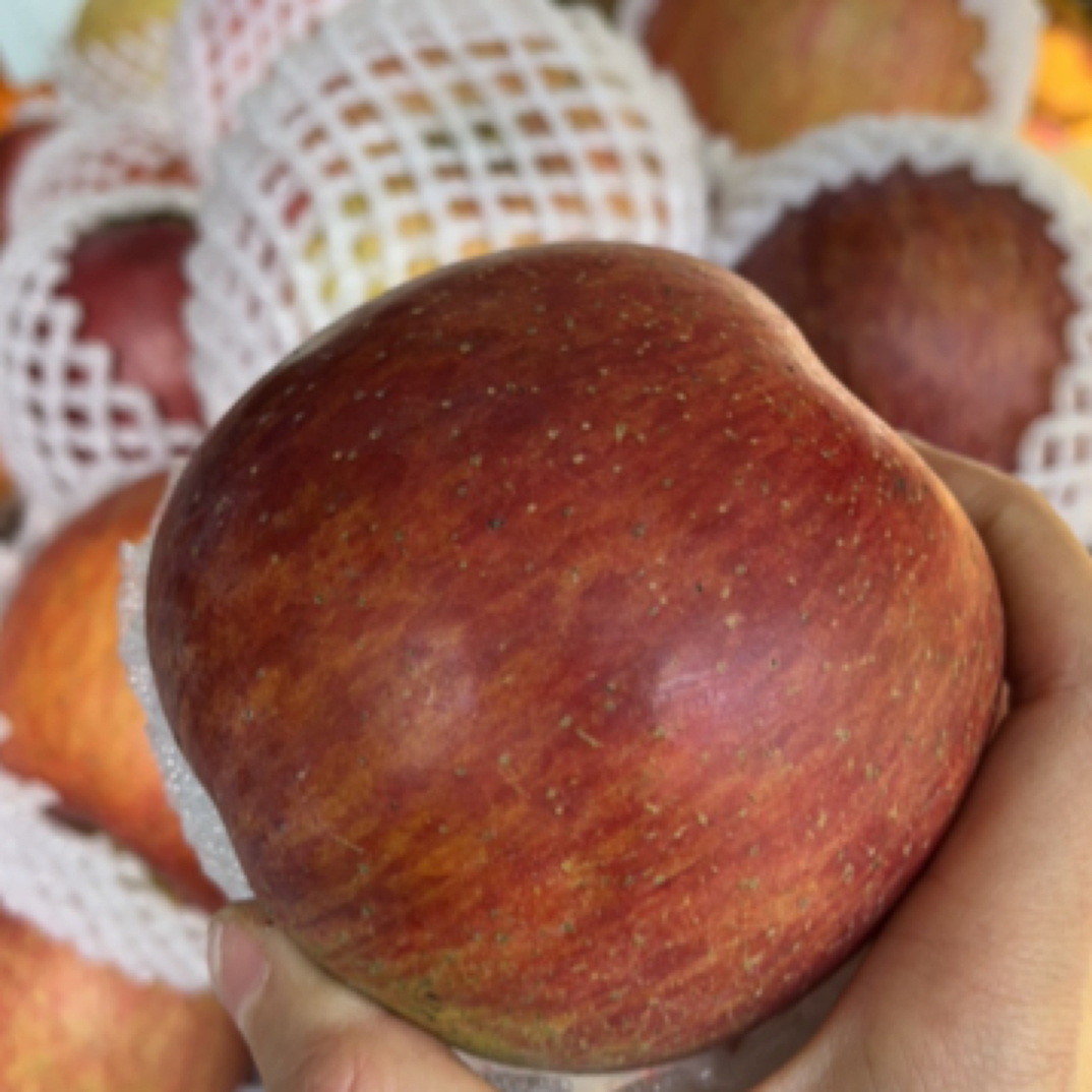 盐源本店脆甜苹果一斤