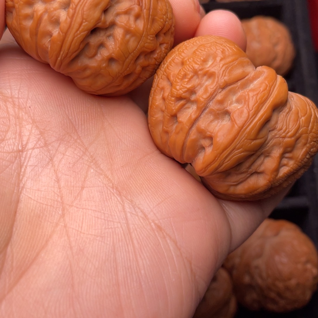 把件文玩核桃秦岭山脉文玩核桃