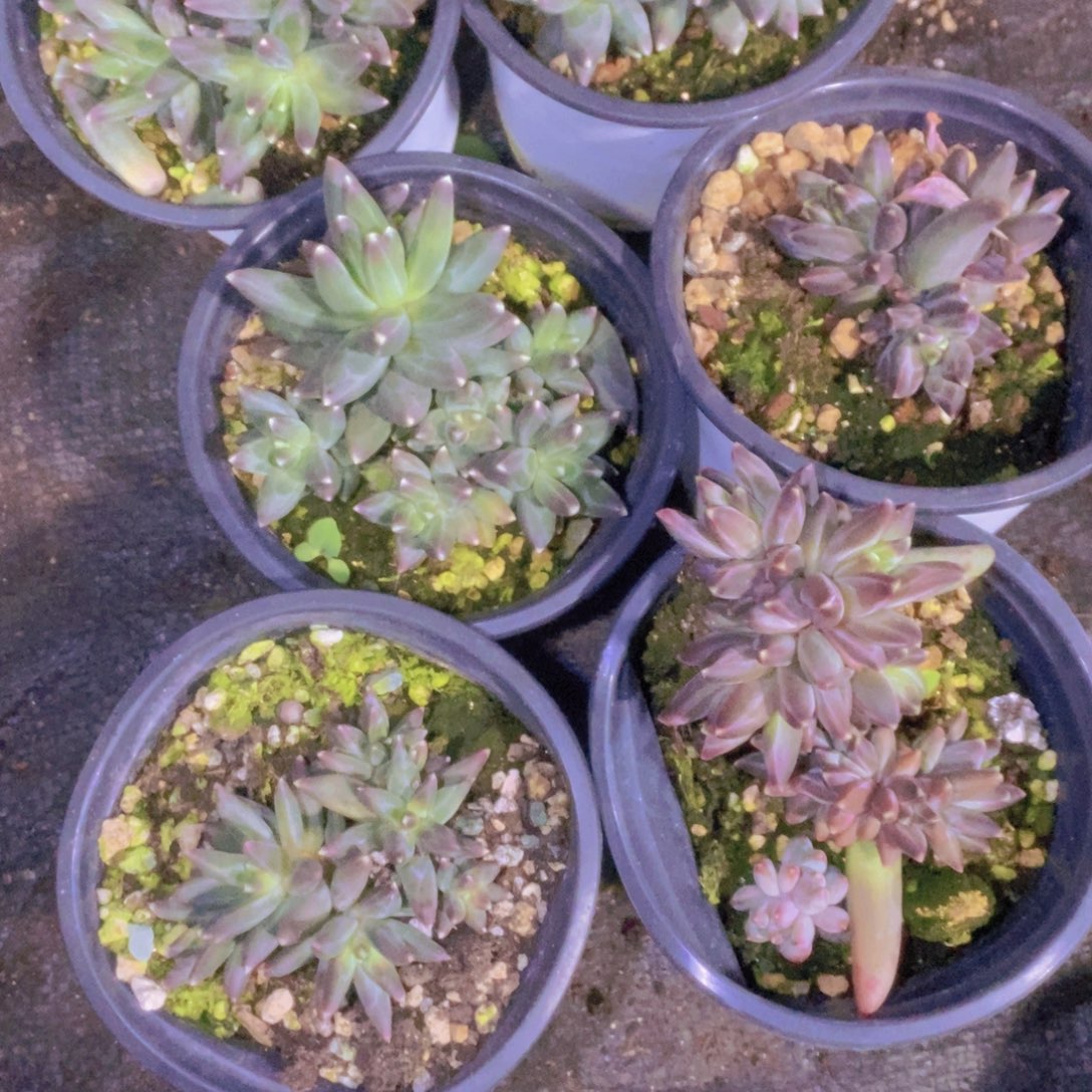 零***度箱拍一单包邮一单