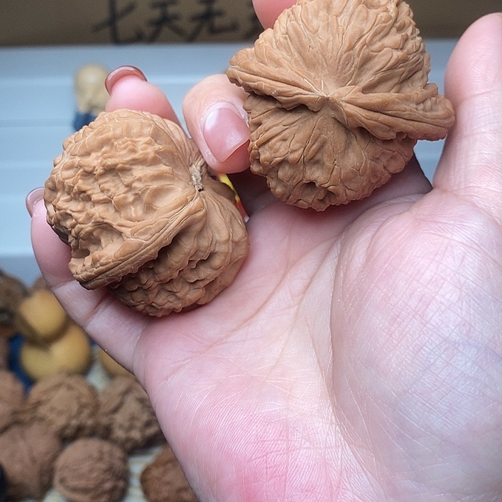 沧***室核桃白狮子核桃边47