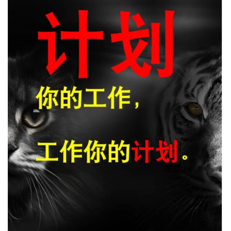 Deepseek 职业策划方案6