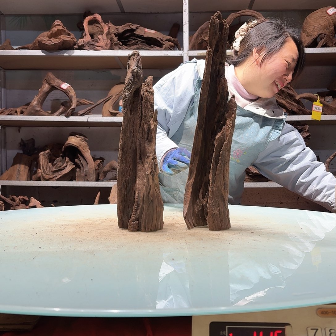 倍诸沉木不包损必褪色常*6571-2