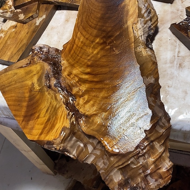 忘***初金丝楠木小叶桢楠木