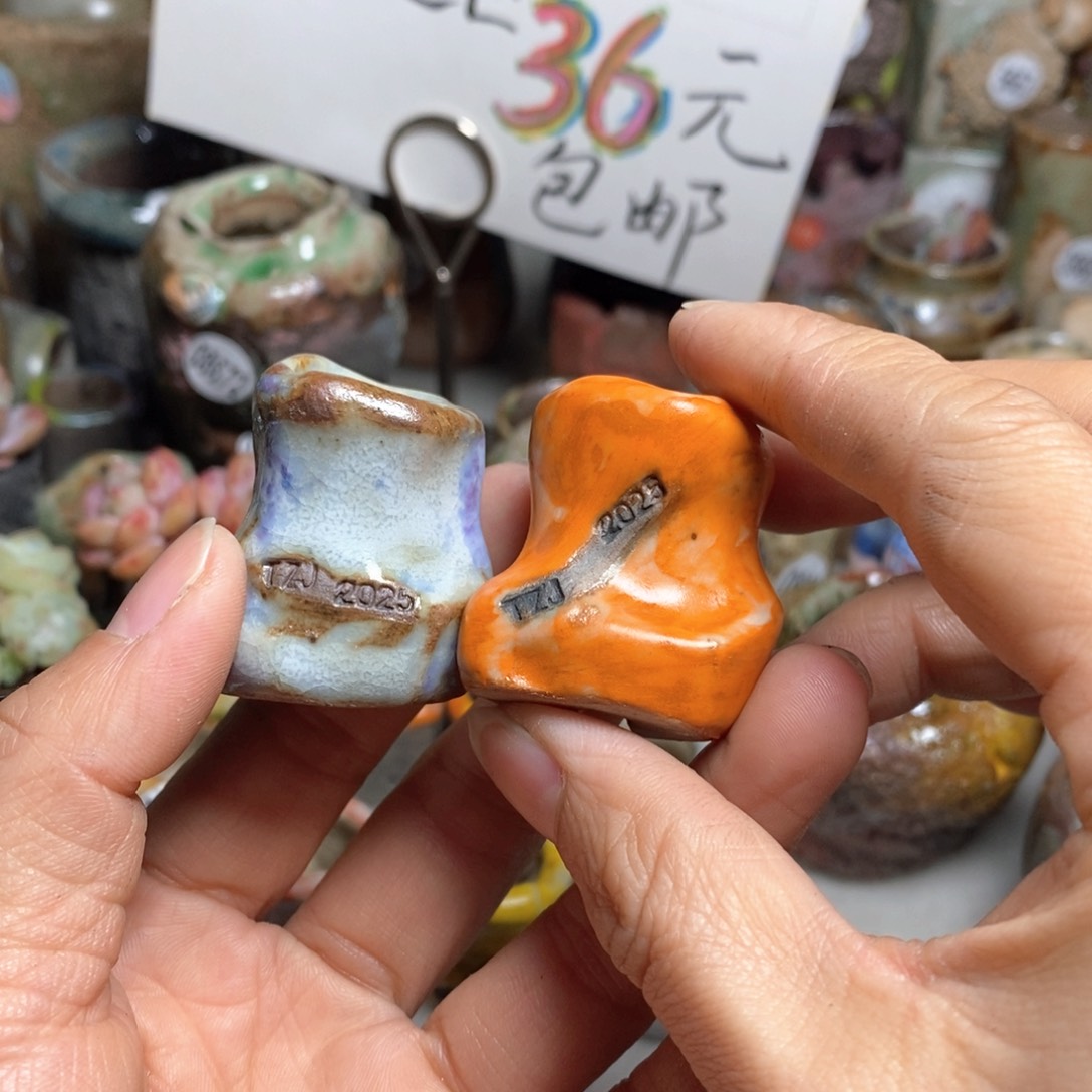 魔**七花盆拍5送一个小礼物