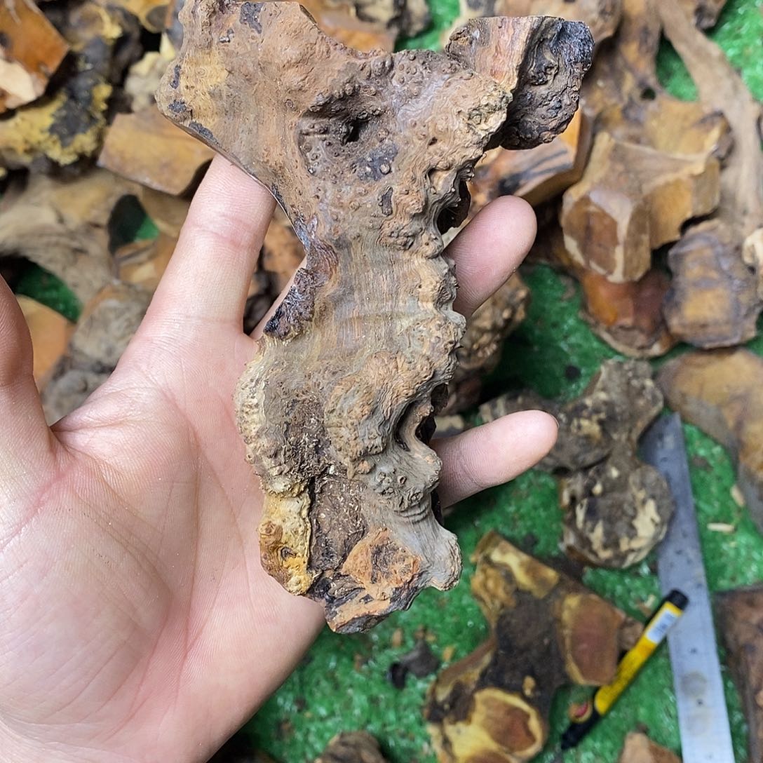 哦琉璃疙瘩陈****茶82285858