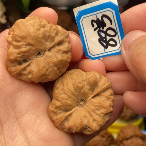 文玩核桃吊坠古蟾37