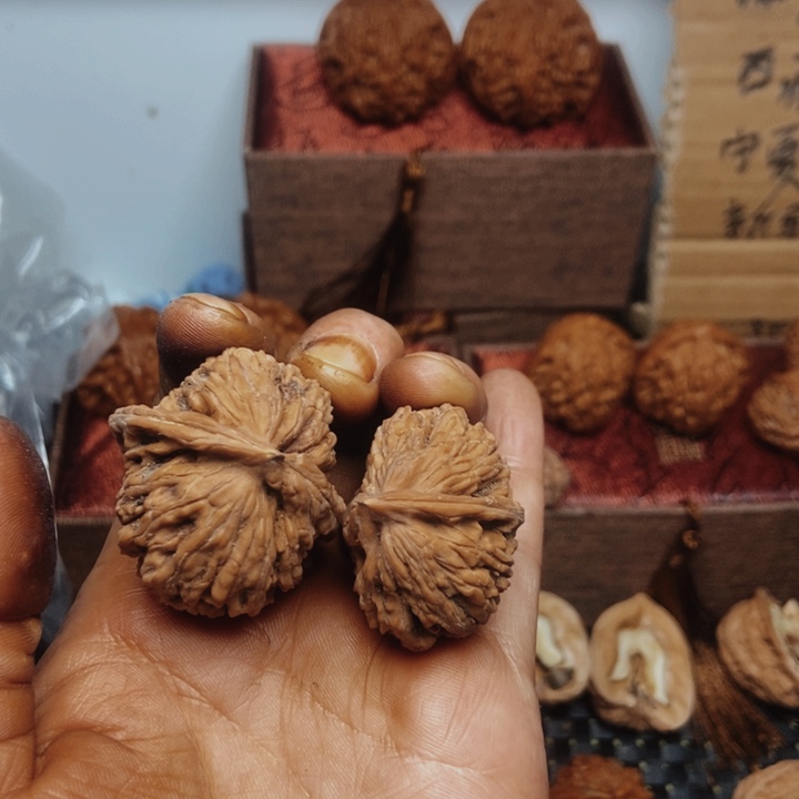 四座楼半臂新果61高41