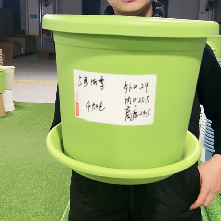 特价5号口29号口29高24.5果绿色10只带托