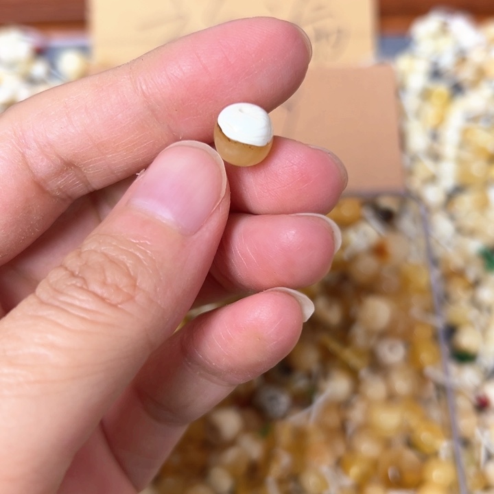 蜜蜡未镶嵌裸石8.5mm一个