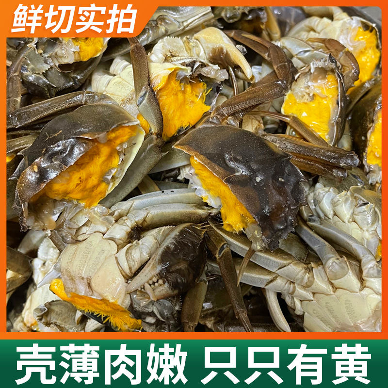 1.1-1.3两带黄公蟹