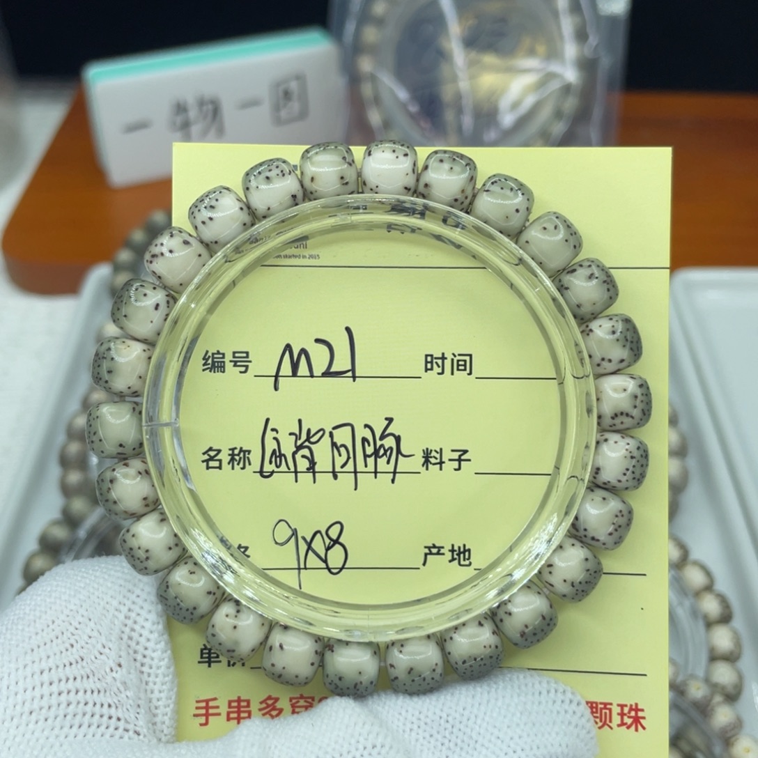 生***、菩提籽类M绿背河豚