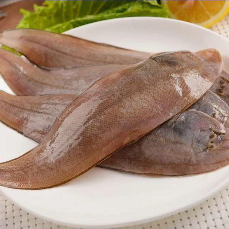 惠来神泉本港龙利鱼5斤广东省包邮