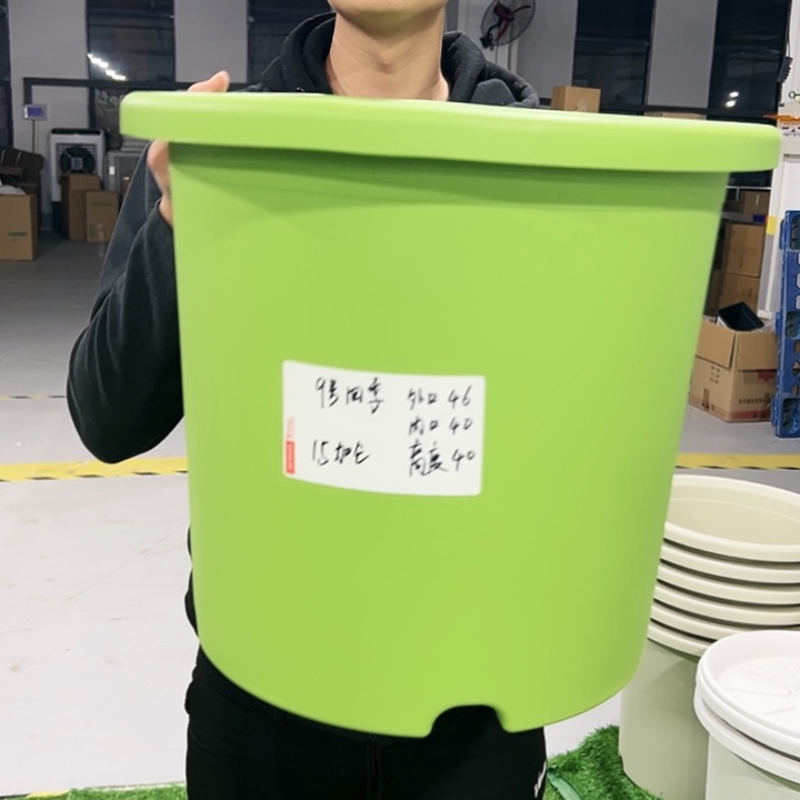特价9号口46高40果绿色2只无托