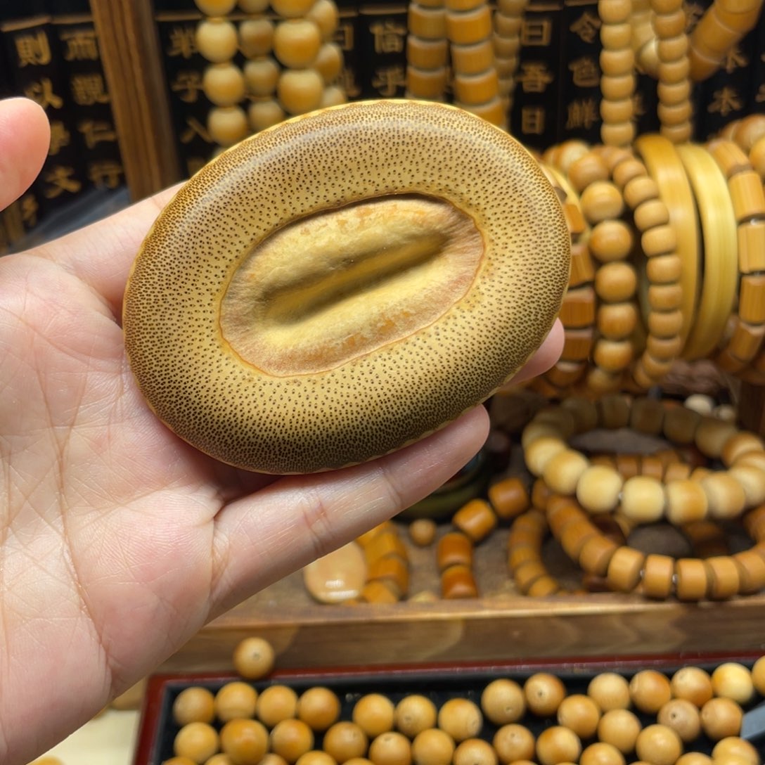 龍***逢竹根部竹格59*77把件