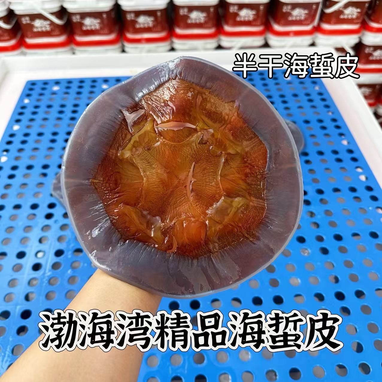 正宗海蜇皮非即食盐渍海蜇半干皮>5斤 三矾海蜇皮鲜脆爽口凉拌菜