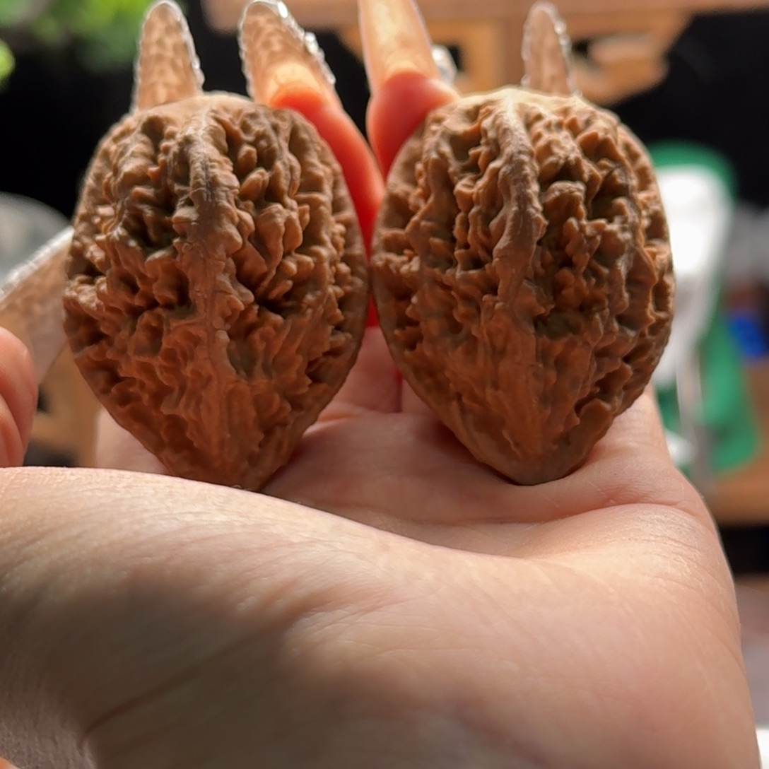 文玩核桃把件关东木子楸百核192