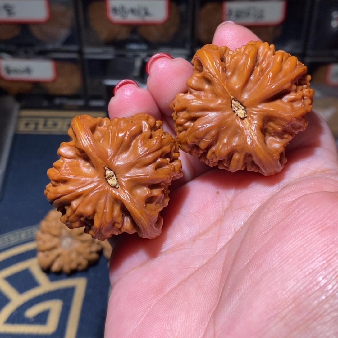 南***火把件文玩核桃卧龙