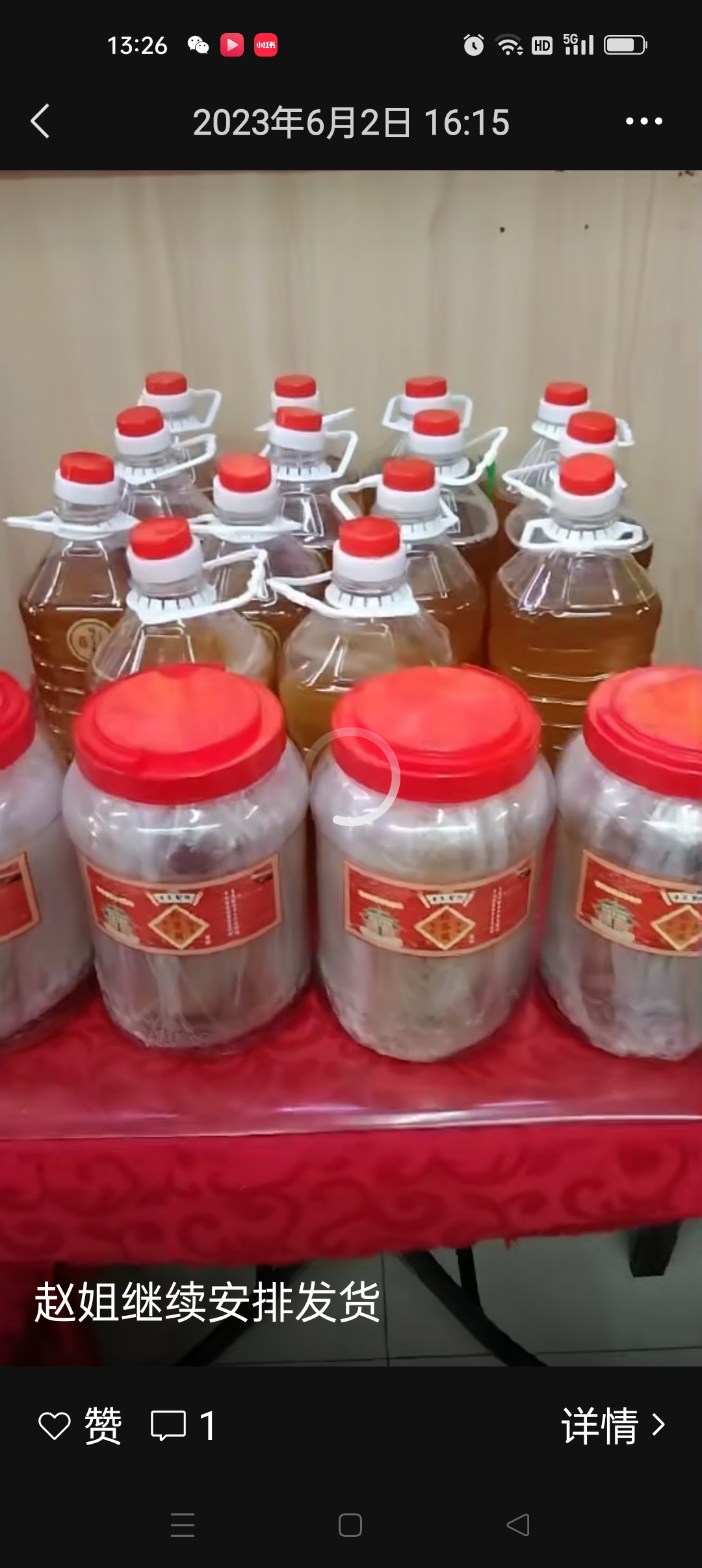 红茶菌醋娥子1张直接22厘米菌膜含液一共发5斤