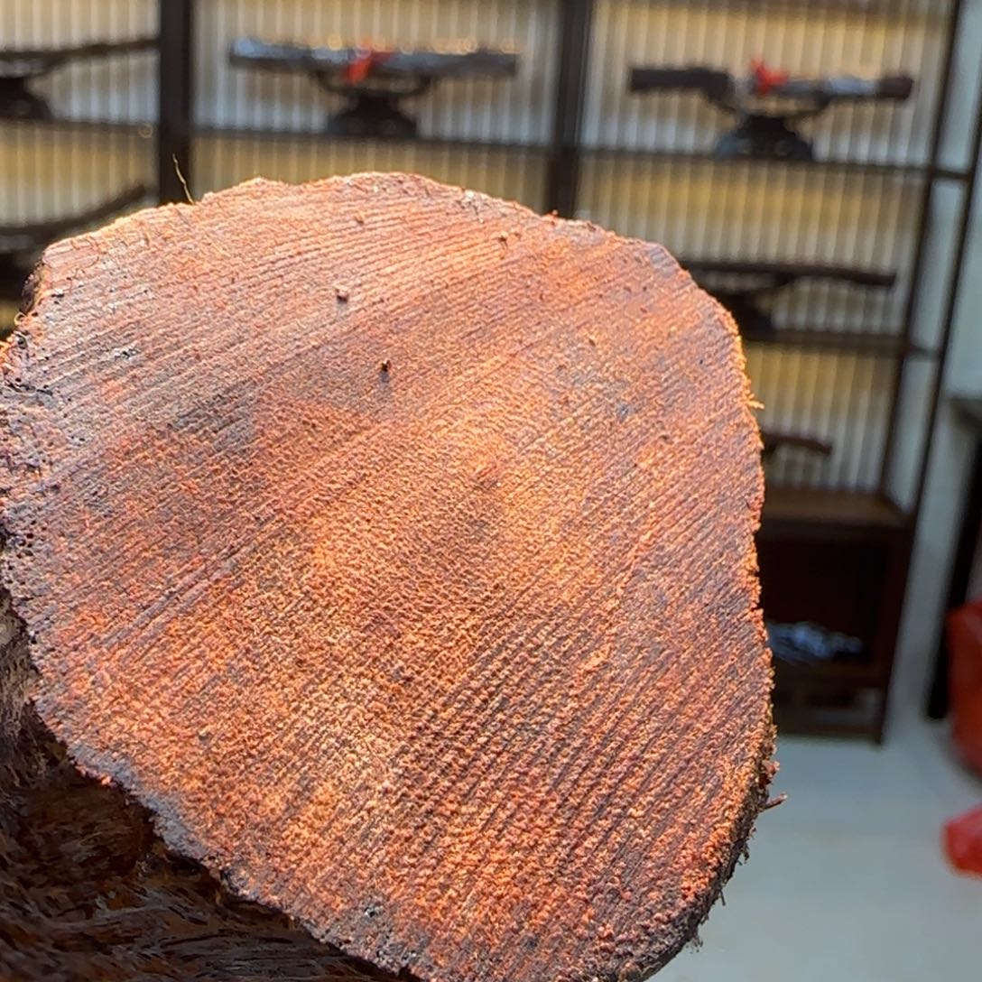 畅***源香榧木降真香原木