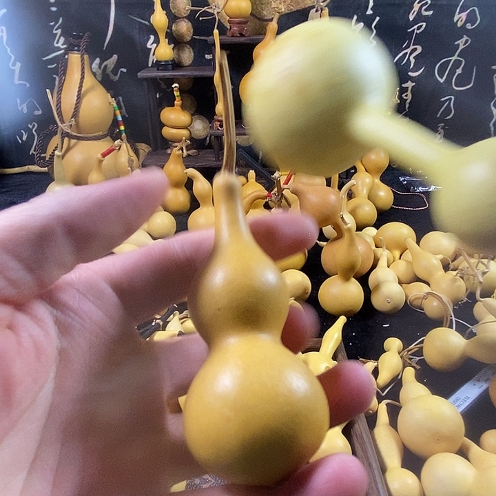 葫芦噜啦啦啦啦啦啦