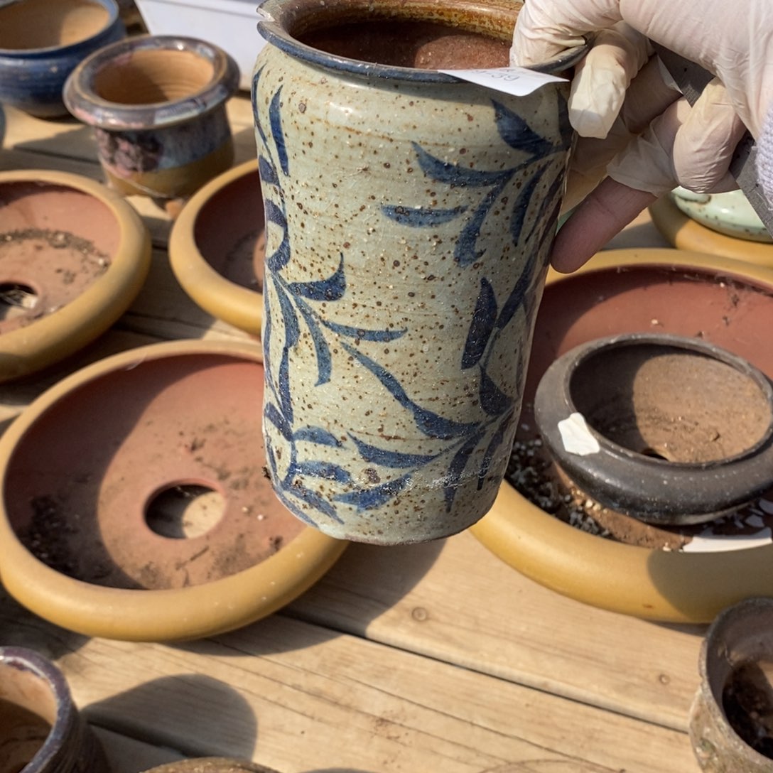 红陶梧*39号多肉盆一个呀瑕疵瑕疵