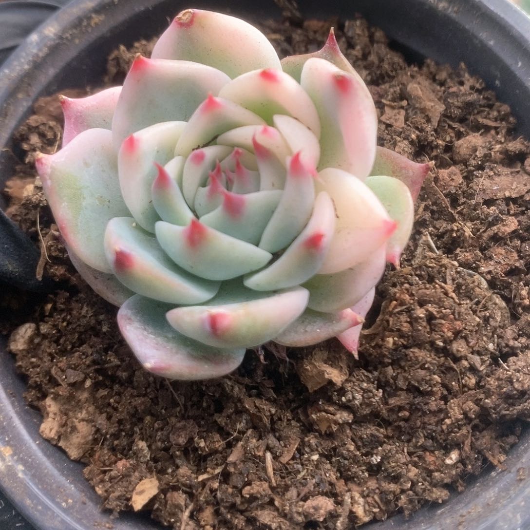 223锦锦锦锦锦锦锦锦