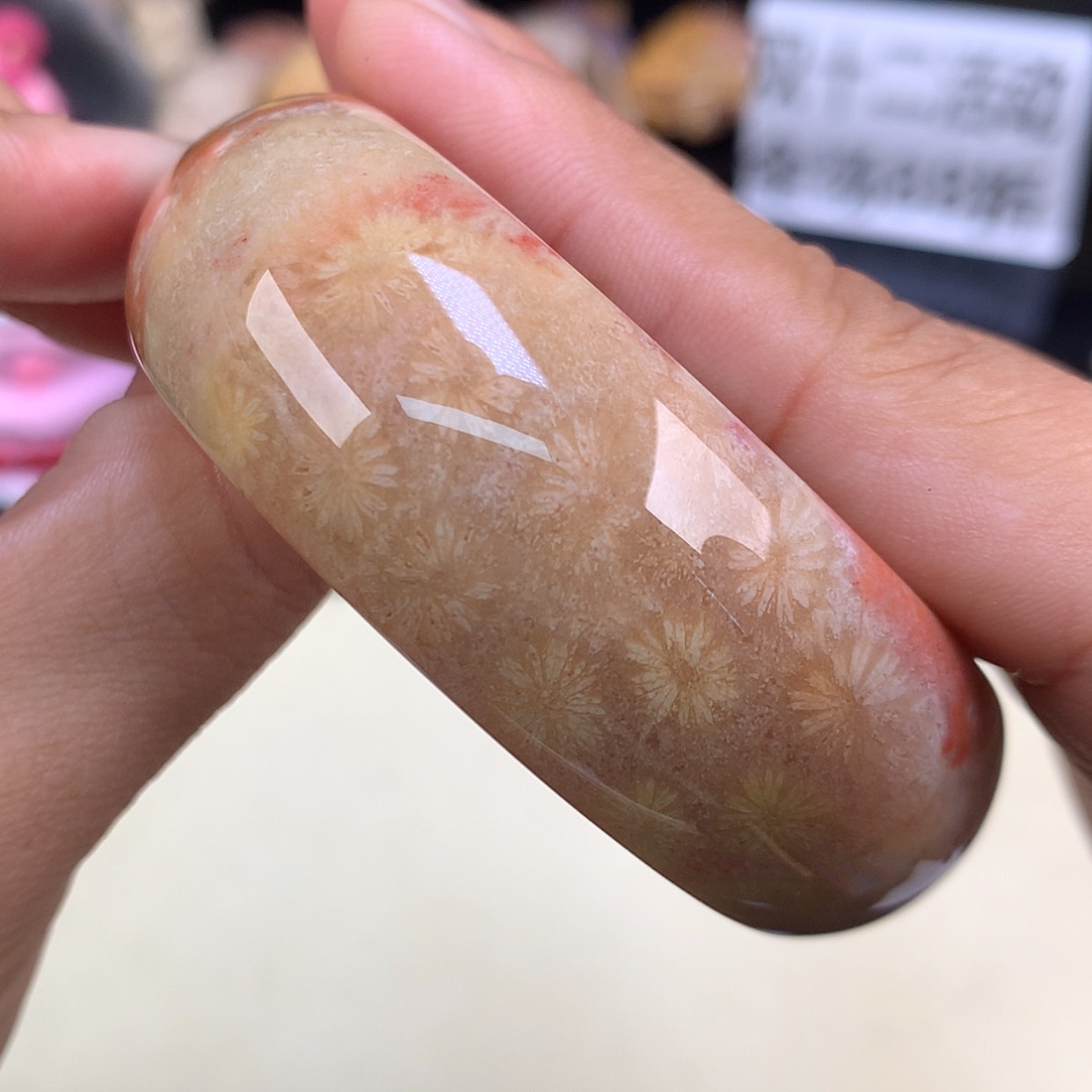 【闪购商品】颈饰未镶嵌硅化珊瑚（珊瑚玉）19号精美赞比51.8圈口