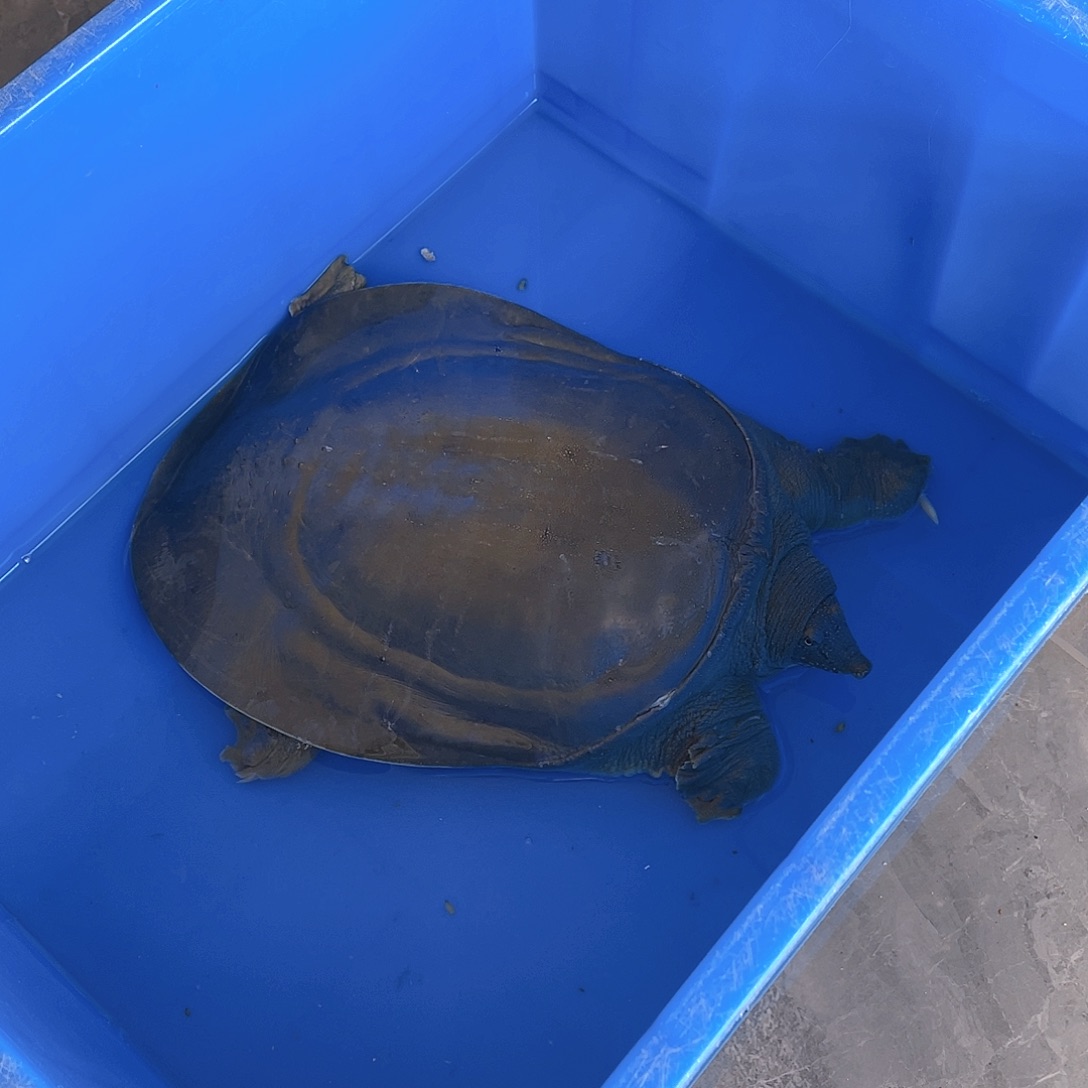 中国大陆12345678