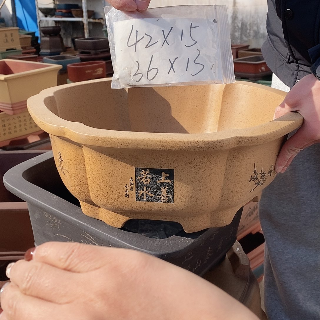 紫砂花盆紫砂艺术