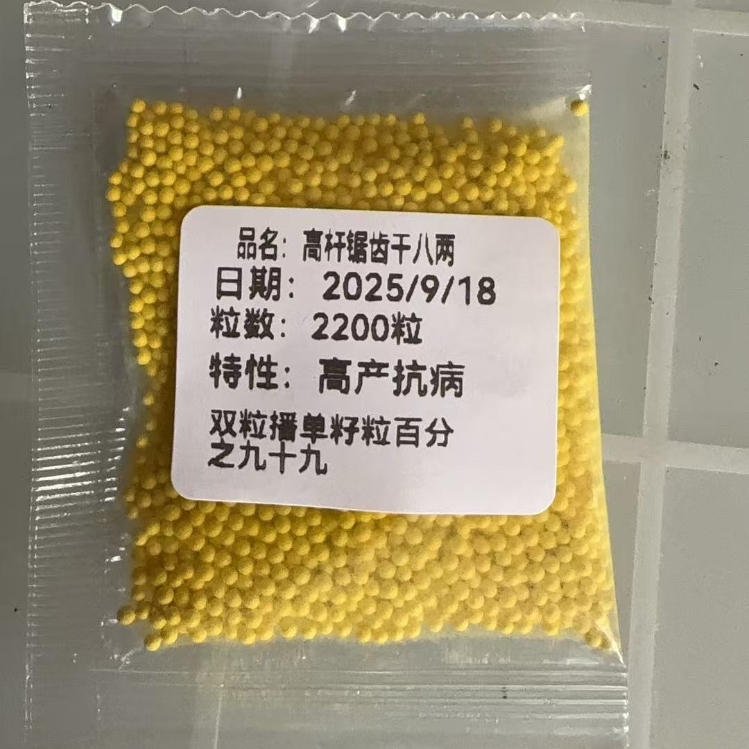 饵料高杆锯齿干八两2200粒抗病