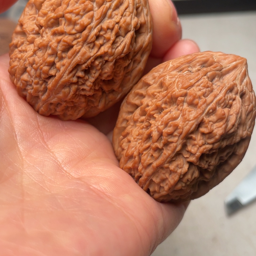 大叶紫檀（黑酸枝木类）大蒜头37尺