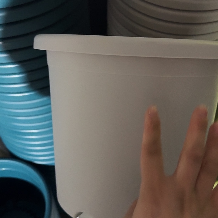 四季5号灰白无托6个特价微瑕