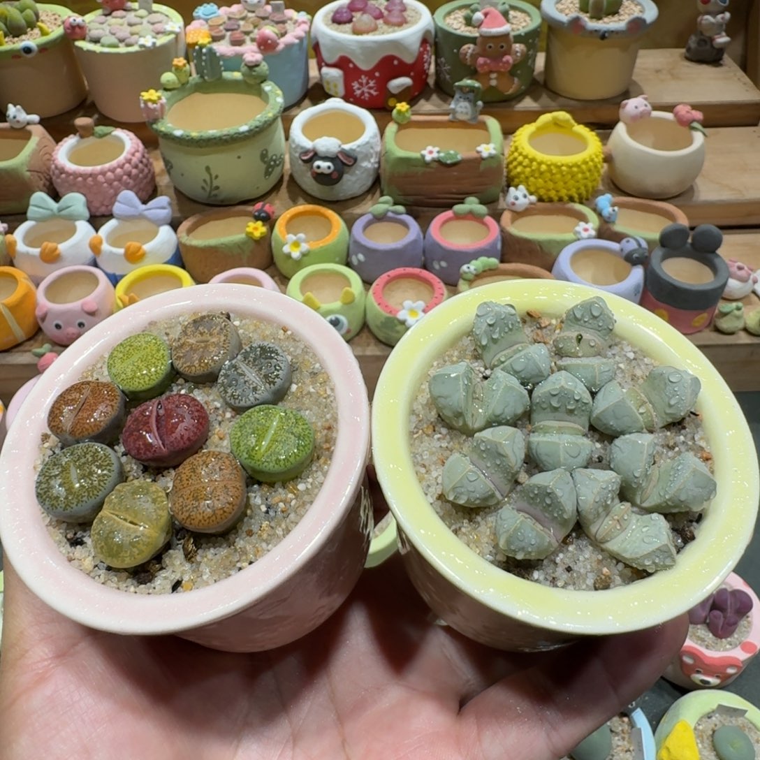 蘑菇1212紫薰彩拼魔玉