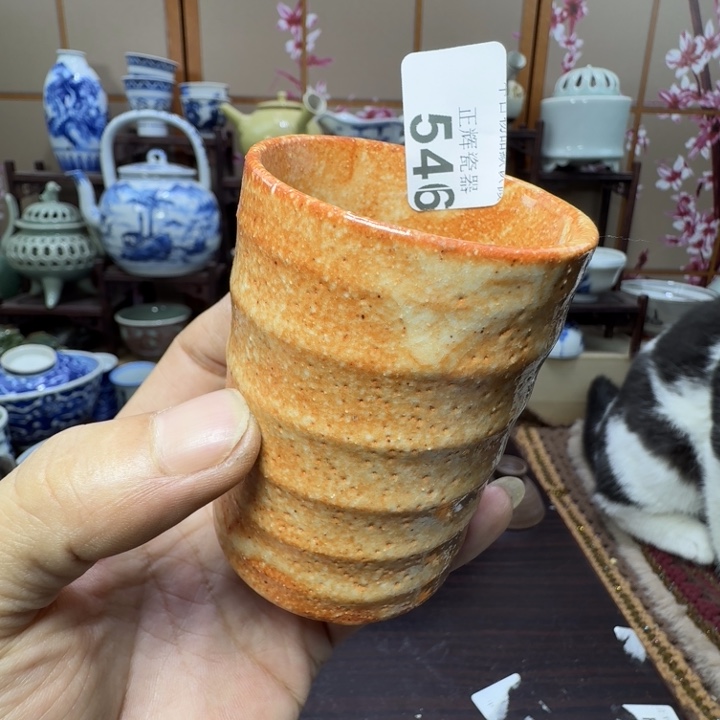 杯546啊啊啊啊啊啊啊啊啊啊啊啊
